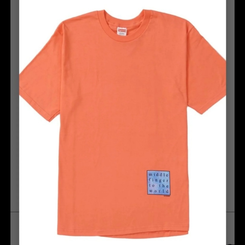 Supreme ss19 tee